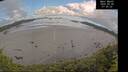 ./images/calvert/beach/20260530/beach20260530_075501M.jpg