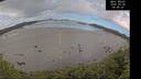 ./images/calvert/beach/20260530/beach20260530_084502M.jpg