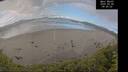 ./images/calvert/beach/20260530/beach20260530_090001M.jpg