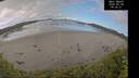 ./images/calvert/beach/20260530/beach20260530_090501M.jpg