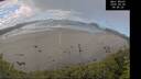 ./images/calvert/beach/20260530/beach20260530_094001M.jpg