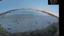 ./images/calvert/beach/20260530/beach20260530_222501M.jpg
