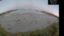 ./images/calvert/beach/20260531/beach20260531_050501M.jpg