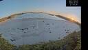 ./images/calvert/beach/20260531/beach20260531_211001M.jpg
