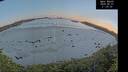 ./images/calvert/beach/20260531/beach20260531_213501M.jpg