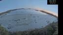 ./images/calvert/beach/20260531/beach20260531_222501M.jpg