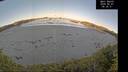 ./images/calvert/beach/20260601/beach20260601_063501M.jpg
