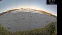 ./images/calvert/beach/20260601/beach20260601_064501M.jpg