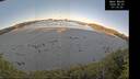 ./images/calvert/beach/20260601/beach20260601_071002M.jpg