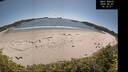./images/calvert/beach/20260601/beach20260601_161001M.jpg