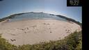 ./images/calvert/beach/20260601/beach20260601_170001M.jpg