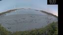 ./images/calvert/beach/20260602/beach20260602_045501M.jpg