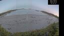 ./images/calvert/beach/20260602/beach20260602_050501M.jpg