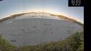 ./images/calvert/beach/20260602/beach20260602_063501M.jpg