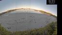 ./images/calvert/beach/20260602/beach20260602_064501M.jpg
