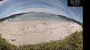 ./images/calvert/beach/20260602/beach20260602_134001M.jpg