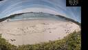 ./images/calvert/beach/20260602/beach20260602_134501M.jpg