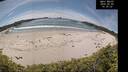 ./images/calvert/beach/20260602/beach20260602_143001M.jpg