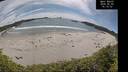 ./images/calvert/beach/20260602/beach20260602_161001M.jpg