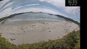 ./images/calvert/beach/20260602/beach20260602_162501M.jpg