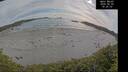 ./images/calvert/beach/20260602/beach20260602_182501M.jpg