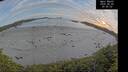 ./images/calvert/beach/20260602/beach20260602_204501M.jpg