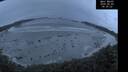 ./images/calvert/beach/20260603/beach20260603_043001M.jpg