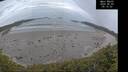 ./images/calvert/beach/20260603/beach20260603_051501M.jpg