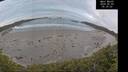 ./images/calvert/beach/20260603/beach20260603_053501M.jpg