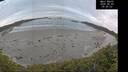 ./images/calvert/beach/20260603/beach20260603_054001M.jpg