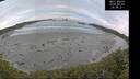 ./images/calvert/beach/20260603/beach20260603_054501M.jpg
