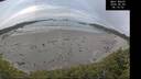 ./images/calvert/beach/20260603/beach20260603_061001M.jpg