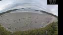 ./images/calvert/beach/20260603/beach20260603_074001M.jpg