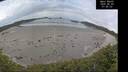 ./images/calvert/beach/20260603/beach20260603_074501M.jpg