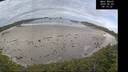 ./images/calvert/beach/20260603/beach20260603_081001M.jpg