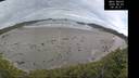 ./images/calvert/beach/20260603/beach20260603_083001M.jpg