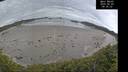 ./images/calvert/beach/20260603/beach20260603_083501M.jpg