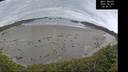 ./images/calvert/beach/20260603/beach20260603_084001M.jpg