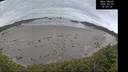 ./images/calvert/beach/20260603/beach20260603_084501M.jpg