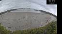 ./images/calvert/beach/20260603/beach20260603_085001M.jpg