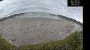./images/calvert/beach/20260603/beach20260603_090001M.jpg