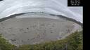 ./images/calvert/beach/20260603/beach20260603_094001M.jpg