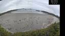 ./images/calvert/beach/20260603/beach20260603_102501M.jpg
