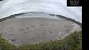 ./images/calvert/beach/20260603/beach20260603_103001M.jpg