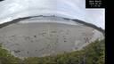 ./images/calvert/beach/20260603/beach20260603_111501M.jpg