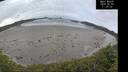 ./images/calvert/beach/20260603/beach20260603_112001M.jpg