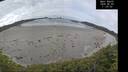 ./images/calvert/beach/20260603/beach20260603_113001M.jpg