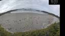./images/calvert/beach/20260603/beach20260603_113501M.jpg