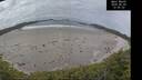 ./images/calvert/beach/20260603/beach20260603_120502M.jpg