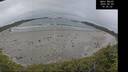 ./images/calvert/beach/20260603/beach20260603_143502M.jpg